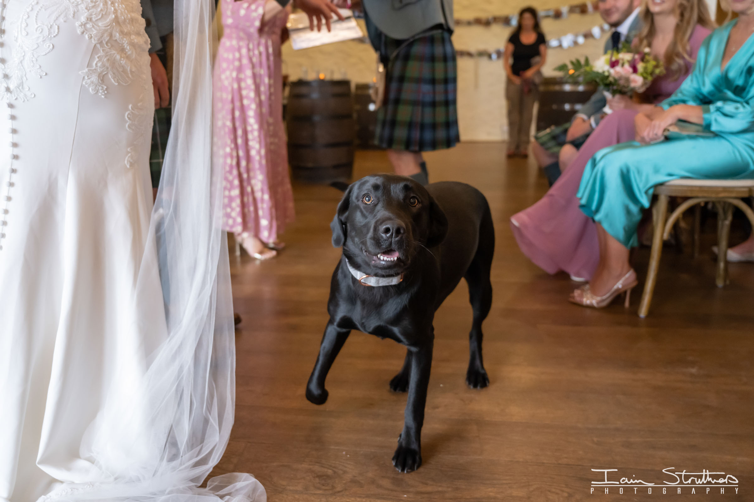 Ashlee & Tom wedding photograph 18