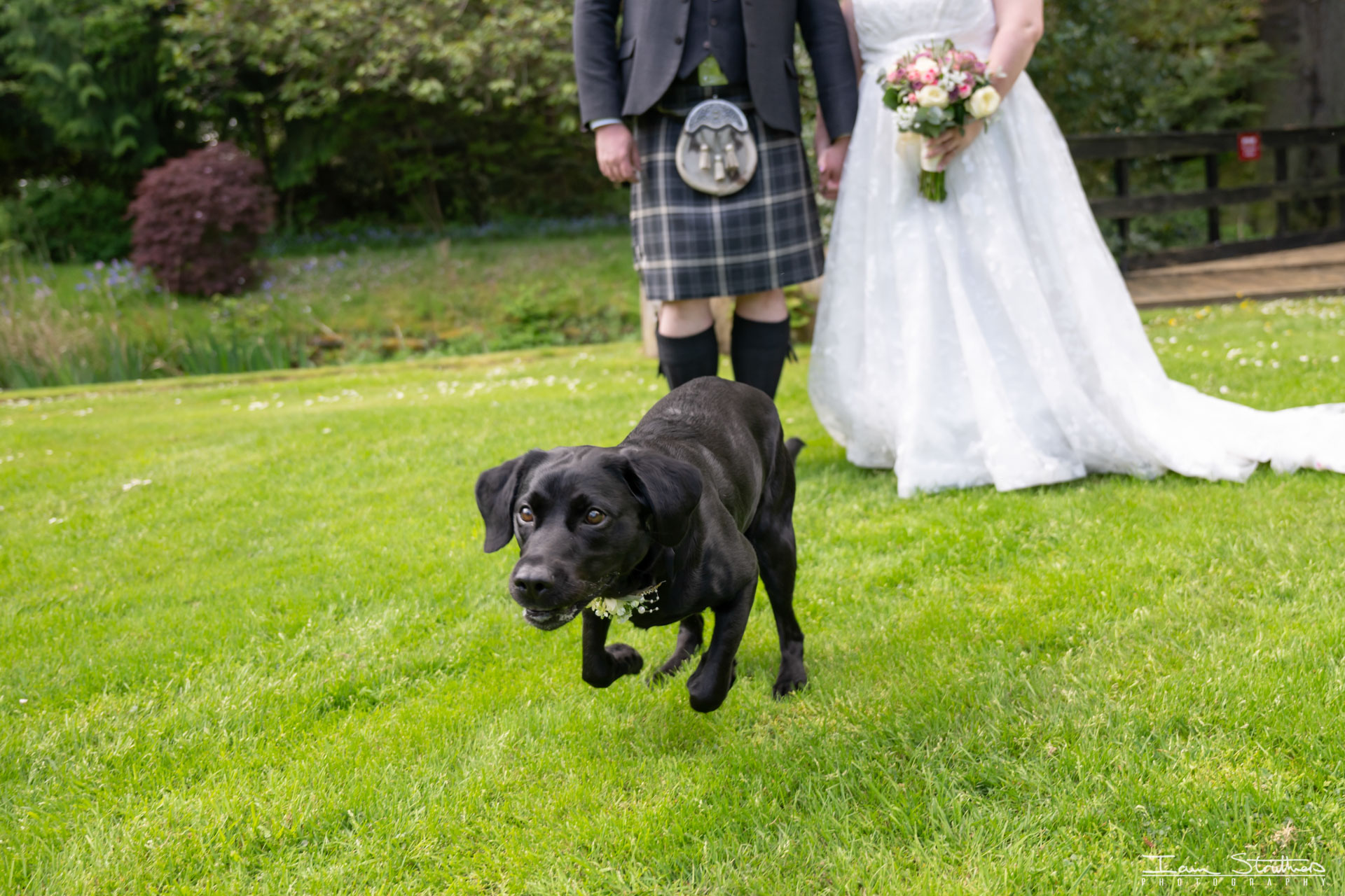 Karen & Andy wedding photograph 22
